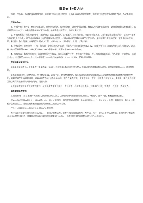 沉香的种植方法