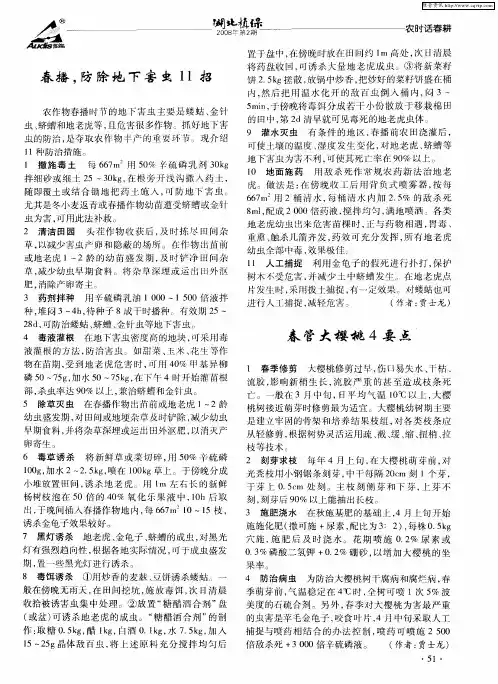 春管大樱桃4要点