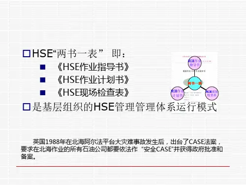 HSE两书一表(1)