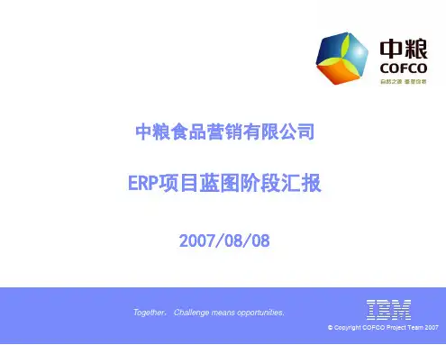 某食品营销有限公司ERP项目蓝图阶段汇报(PPT 60页)