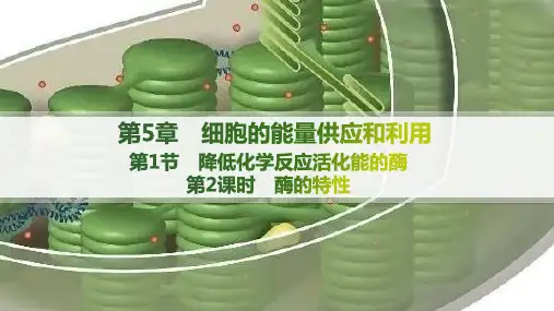 2024-2025学年高一生物必修1(配人教版)教学课件第5章第1节第2课时酶的特性