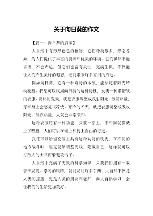 关于向日葵的作文