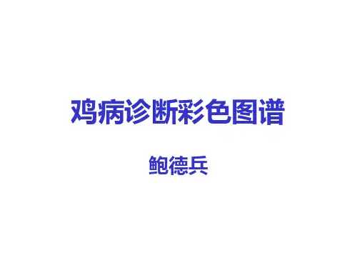 禽病诊断图谱