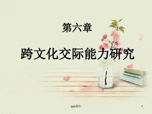 跨文化交际能力研究  ppt课件