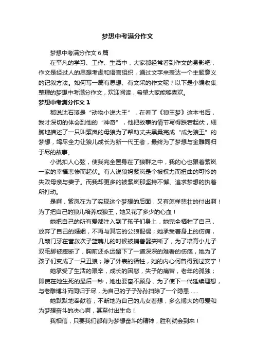 梦想中考满分作文