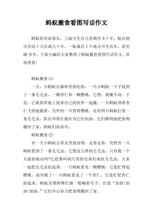 蚂蚁搬食看图写话作文