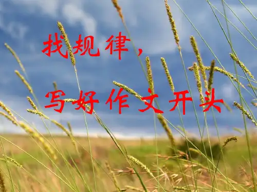 作文开头 ppt课件(完美版)