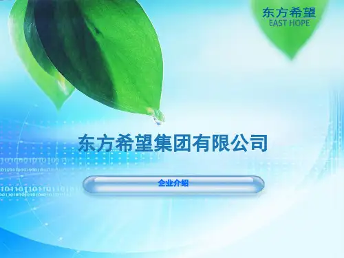 1东方希望集团有限公司企业介绍(精)