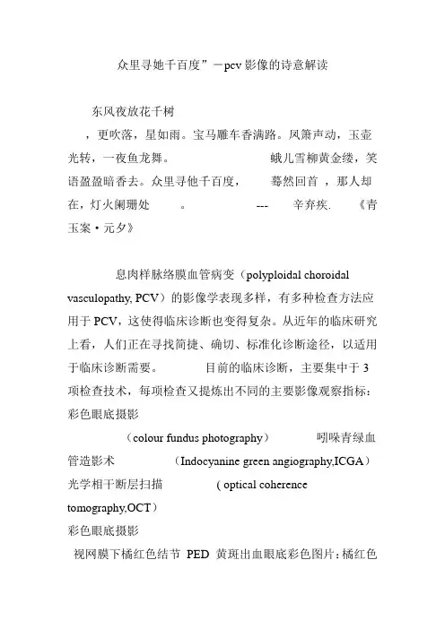 众里寻她千百度”-pcv影像的诗意解读