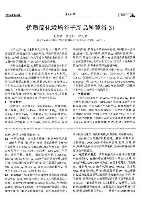 优质简化栽培谷子新品种冀谷31