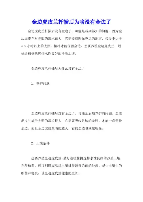 金边虎皮兰扦插后为啥没有金边了