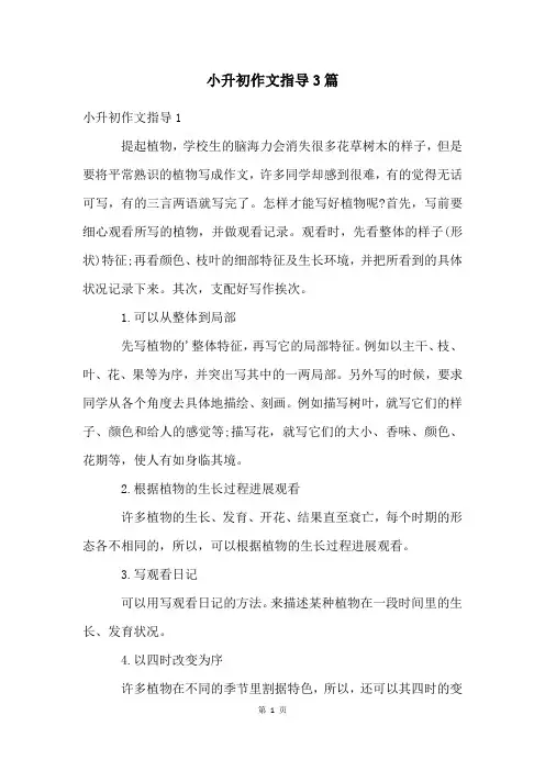 小升初作文指导3篇