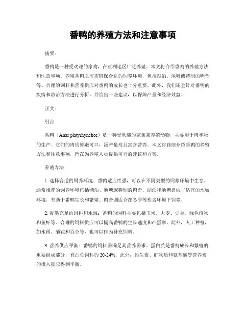 番鸭的养殖方法和注意事项