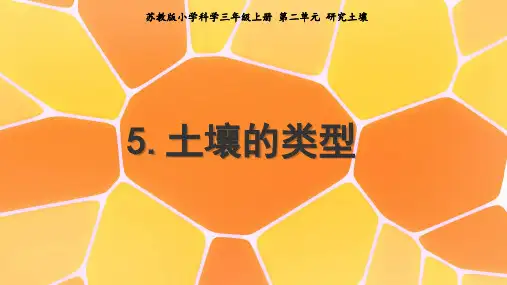 土壤的类型ppt课件