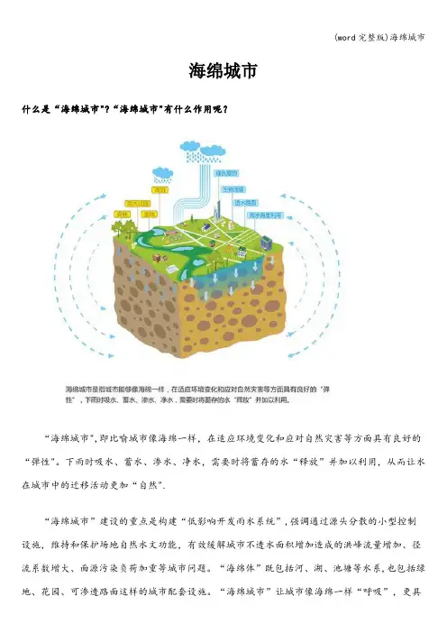 (word完整版)海绵城市