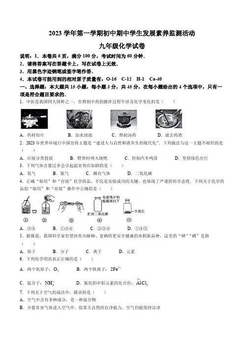 广东省清远市英德市2023-2024学年九年级上学期期中化学试题(含答案)