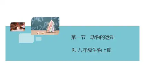 人教版八年级生物上册第五单元第二章 习题课件