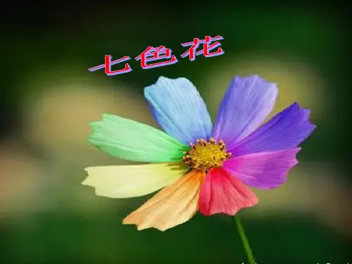 七色花PPT课件