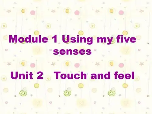 牛津上海版二下《Unit 2 Touch and feel》ppt课件
