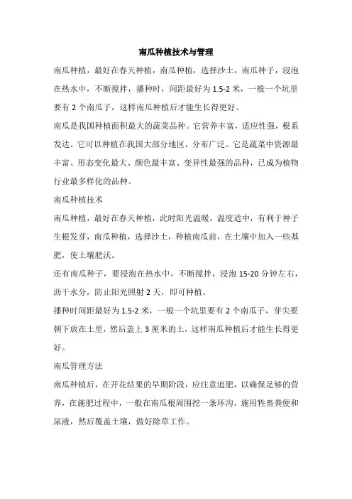 南瓜种植技术与管理