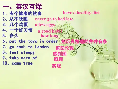 牛津译林版英语六年级期末复习练习课件