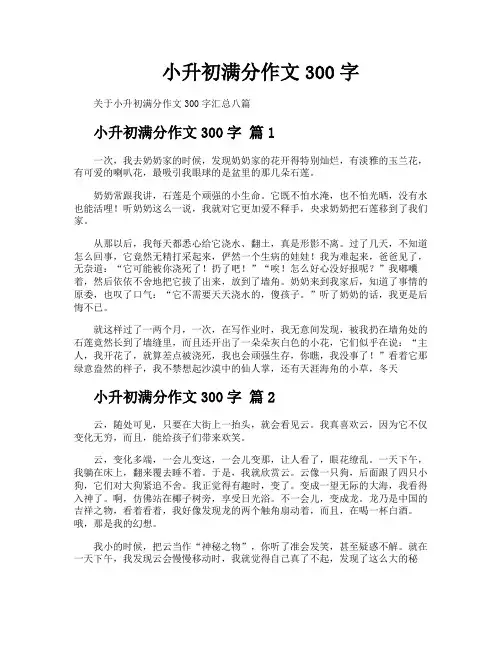 小升初满分作文300字