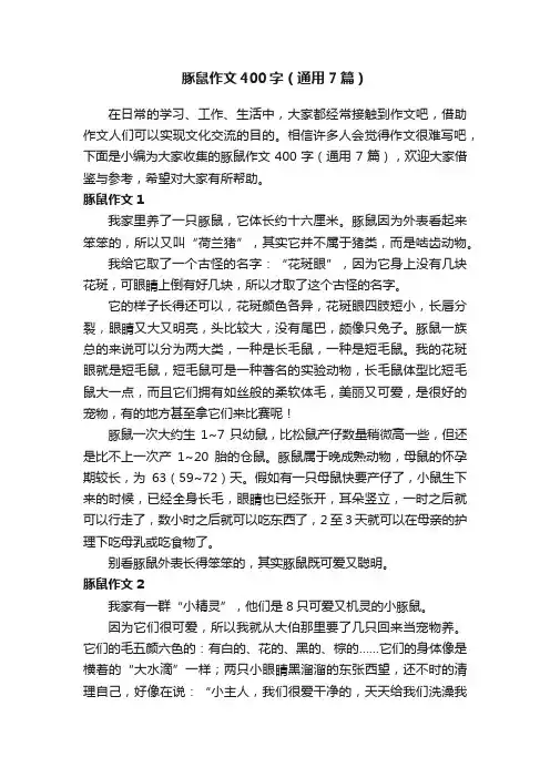 豚鼠作文400字（通用7篇）