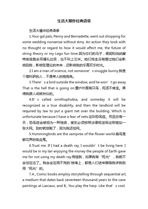 生活大爆炸经典语录