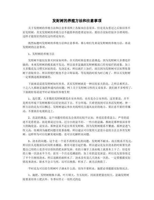 发财树的养殖方法和注意事项