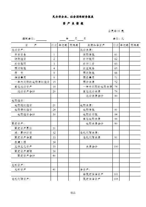 社会团体财务报表