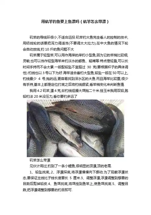 用矶竿钓鱼要上鱼漂吗（矶竿怎么带漂）