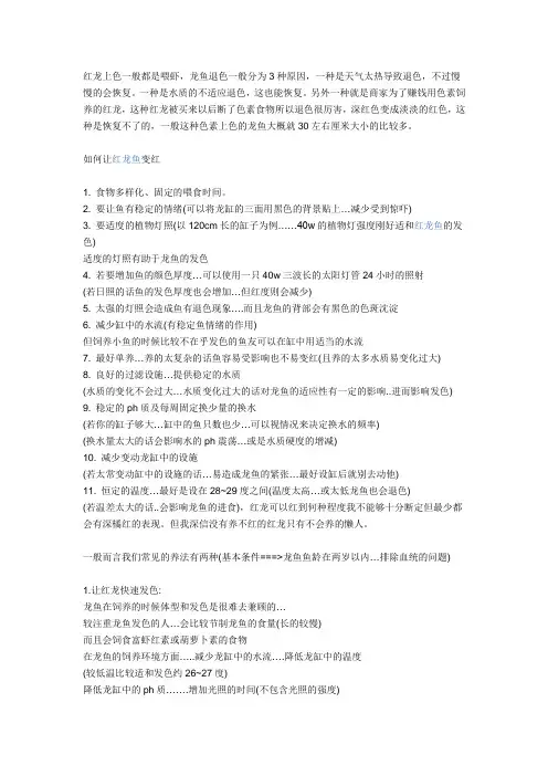 红龙饲养方法