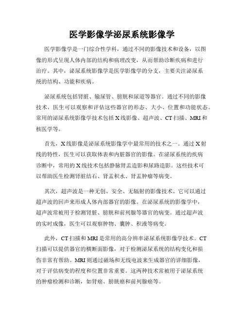 医学影像学泌尿系统影像学
