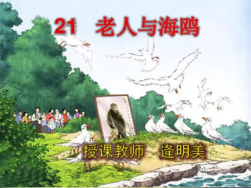 部编六年级上人教《21 老人与海鸥》逄明美PPT课件 一等奖新名师优质课获奖比赛公开免费下载