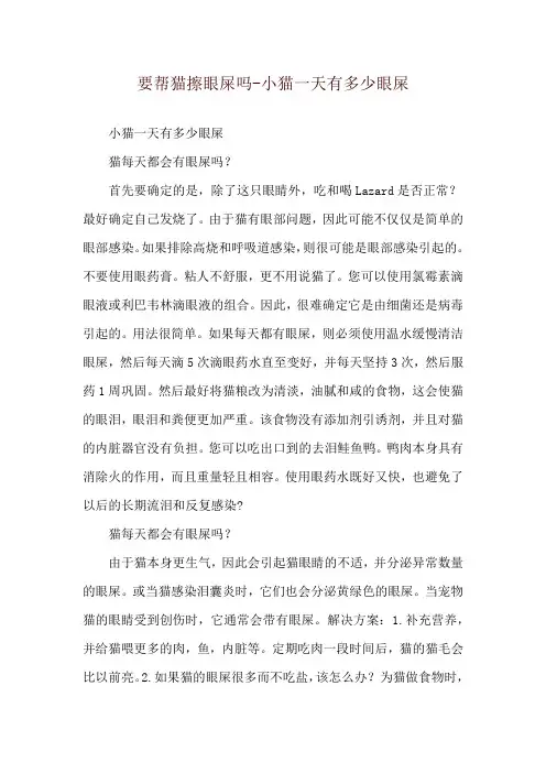 要帮猫擦眼屎吗-小猫一天有多少眼屎