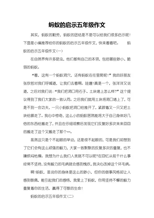 蚂蚁的启示五年级作文