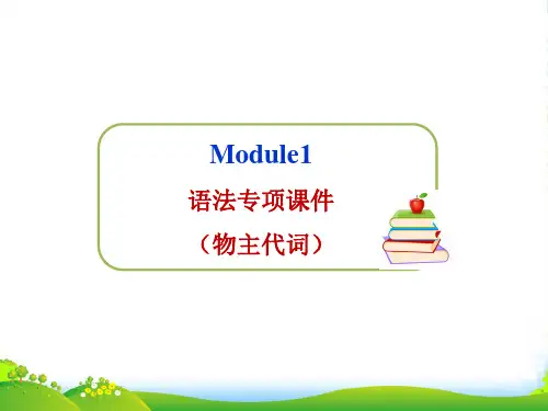 外研版七年级英语下册Module1_语法专项课件(物主代词)(共13张PPT)