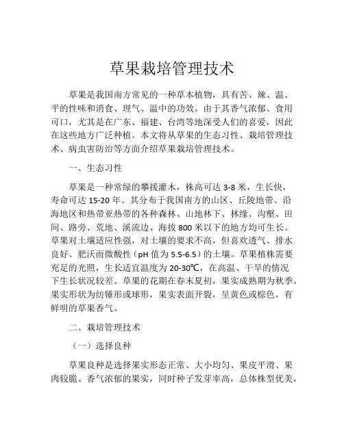 草果栽培管理技术 2