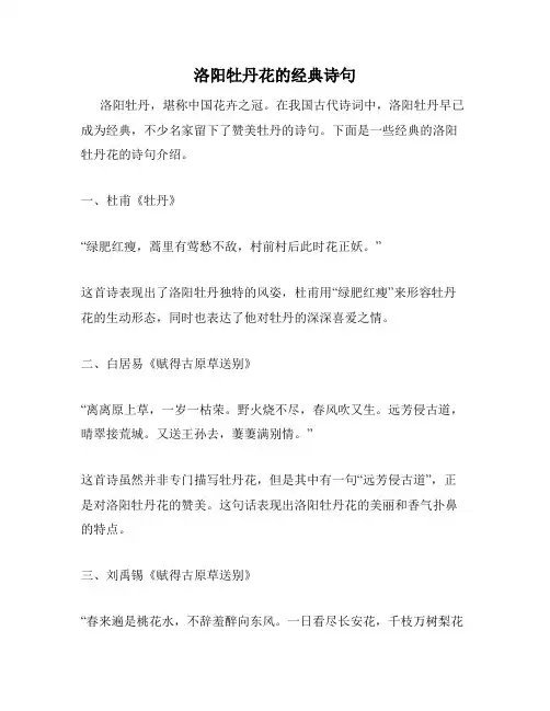 洛阳牡丹花的经典诗句