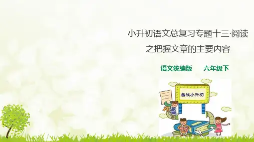 人教统编版小升初语文总复习专题(阅读之把握文章主要内容+阅读之体会文章思想感情)ppt课件