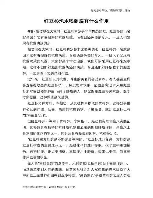 红豆杉泡水喝到底有什么作用