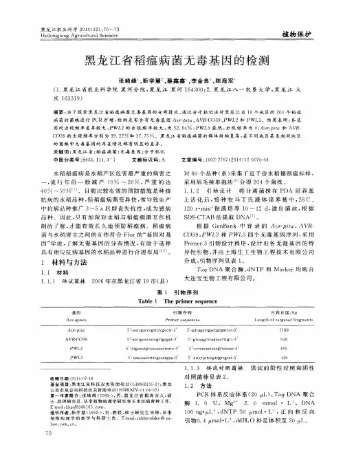 黑龙江省稻瘟病菌无毒基因的检测