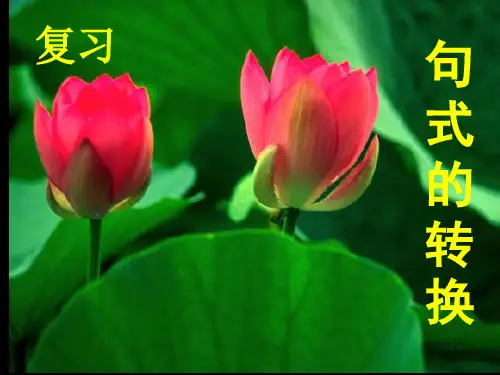 部编人教版小学六年级语文总复习--句式变换复习课件