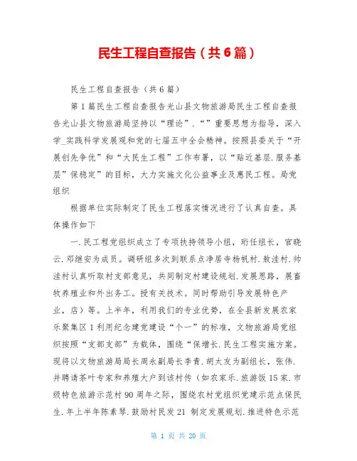 民生工程自查报告(共6篇)