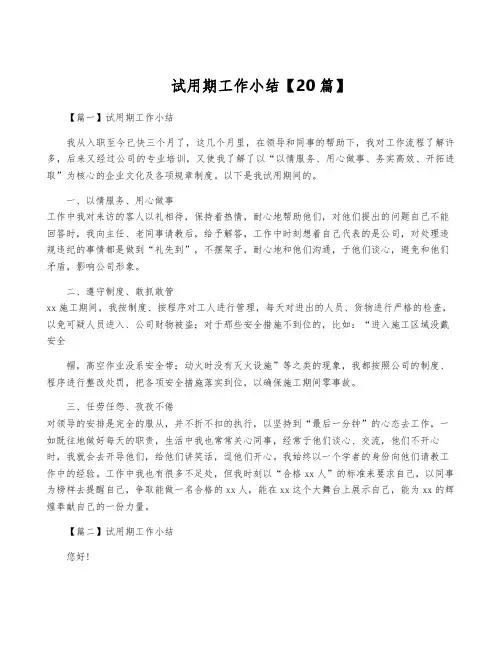 试用期工作小结【20篇】