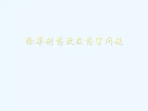 除草剂药效及药害问题1
