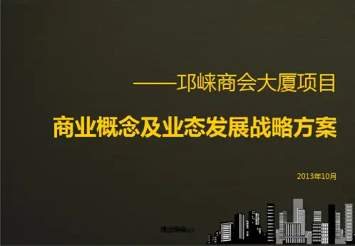 商业项目定位报告ppt课件