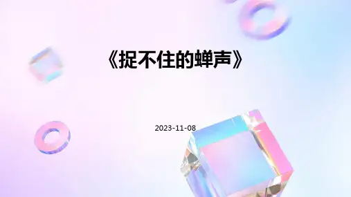 《捉不住的蝉声》