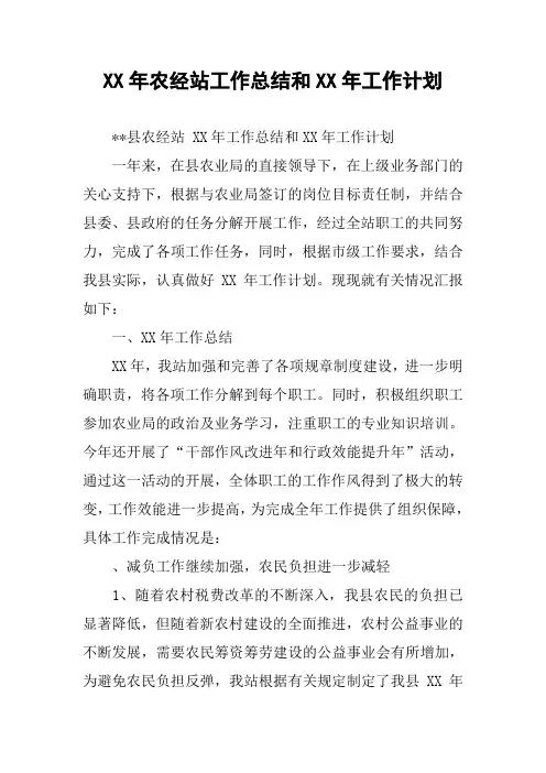 XX年农经站工作总结和XX年工作计划