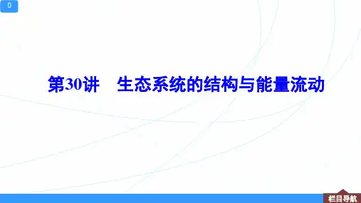 新高考一轮复习人教版 生态系统的结构与能量流动课件